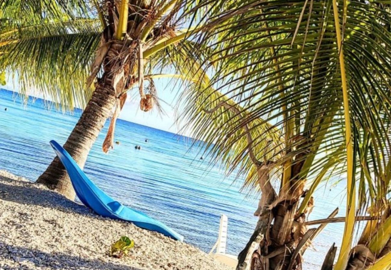 Bungalow à Avatoru - RANGIROA - Ranitea Bungalow