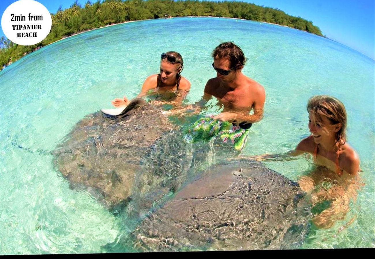 Villa em Tiahura - MOOREA - Tropical Villa