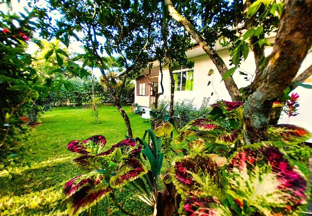 Casa em Mahina - TAHITI - Haumaru Beach Fare