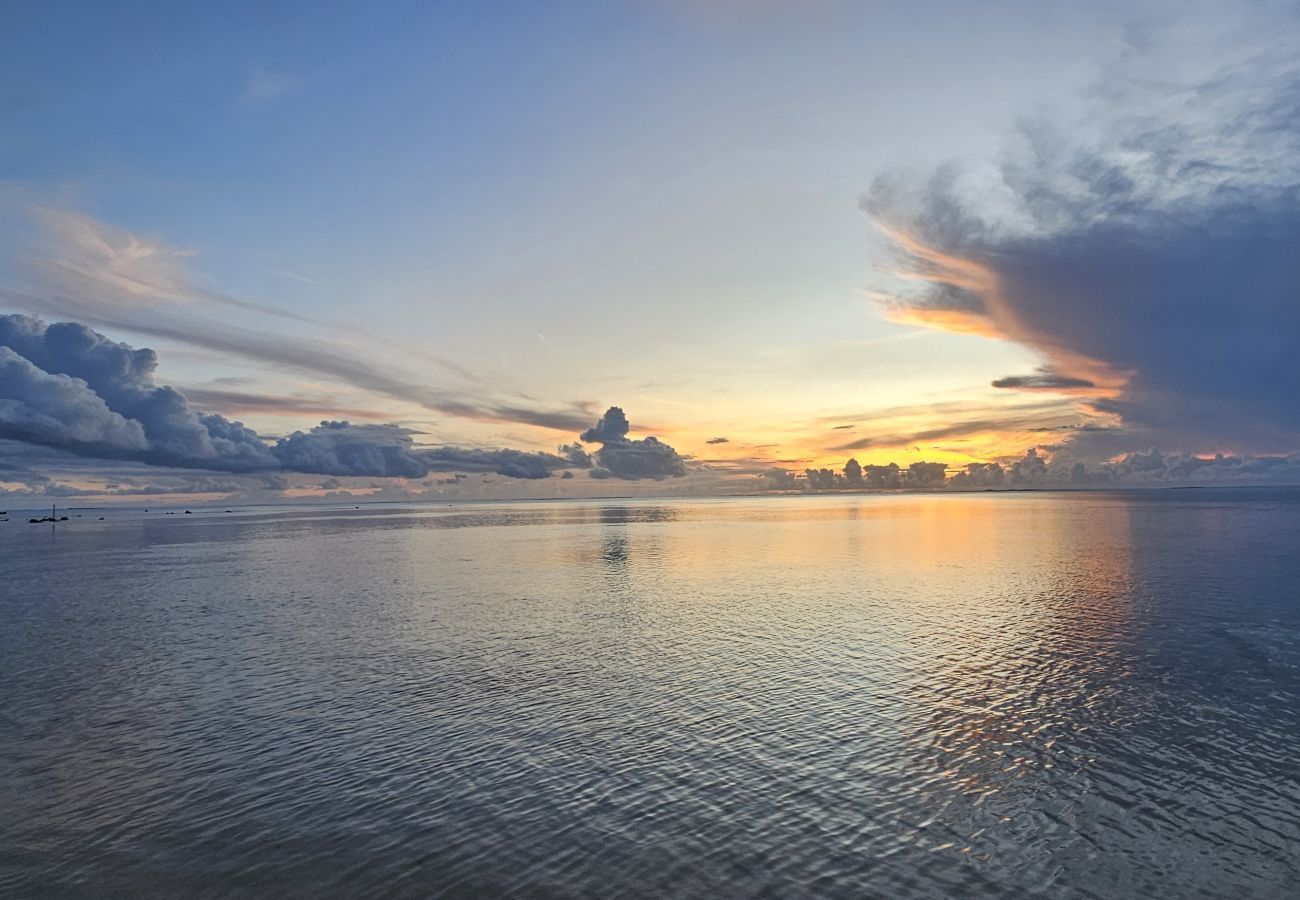 Estúdio em Hauru - MOOREA - Tropical Nest