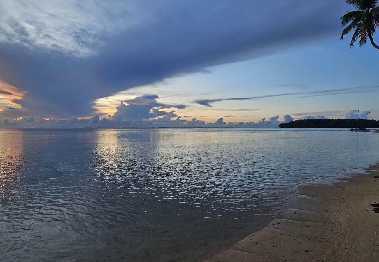 Estúdio em Hauru - MOOREA - Tropical Nest