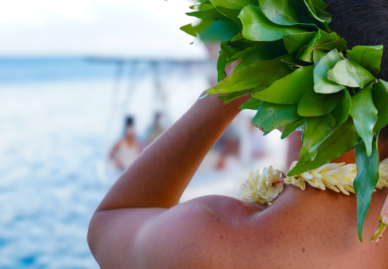 Villa em Avatoru - RANGIROA - Villa Prestige Fara Iti