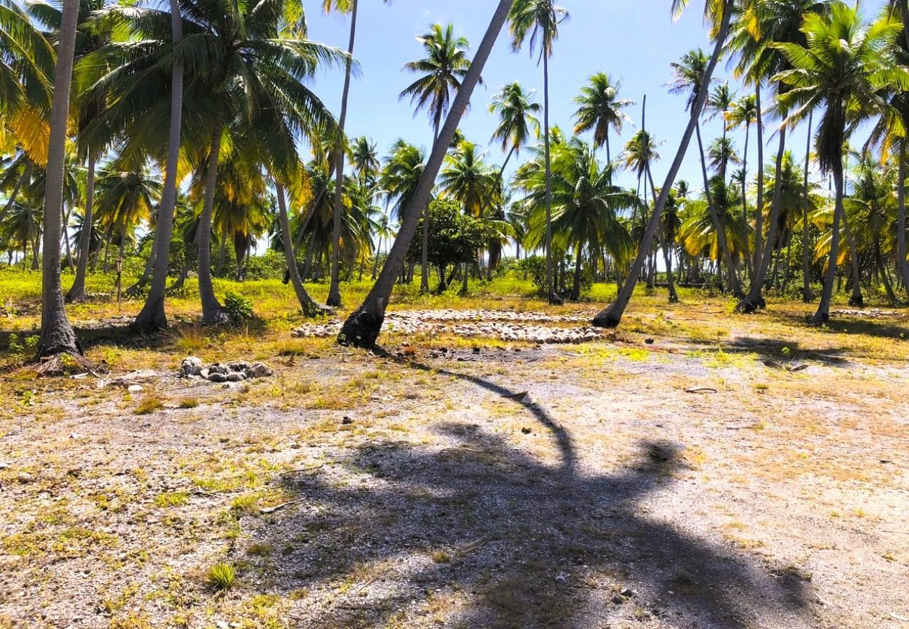 Bungalow in Makemo - MAKEMO - The Lost Paradise Beach Hoe